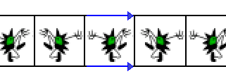 Cell wrapped to form a torus